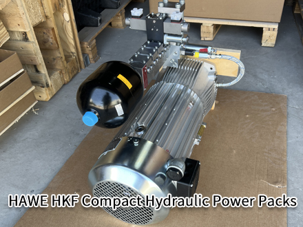 HAWE HKF 43 V9LD/1-Z11,3 HAWE HKF 43 V9LD/1-Z11,3