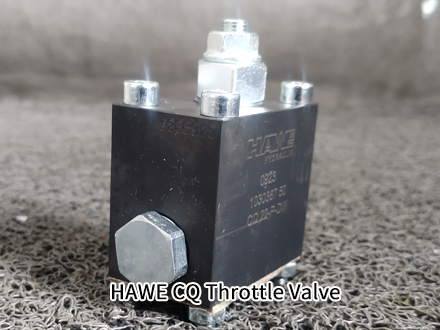 HAWE CQ 22-P-DW HAWE CQ 22-P-DW